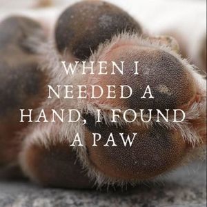 Meet your Posher, Adele